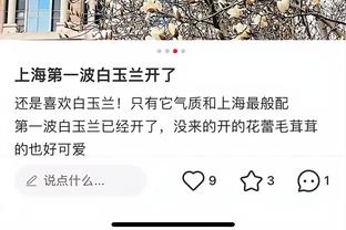 开云电竞app下载安装最新版